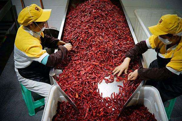 火鍋底料廠房裝修